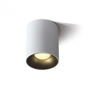 ZR-C3009-12W-WHT
